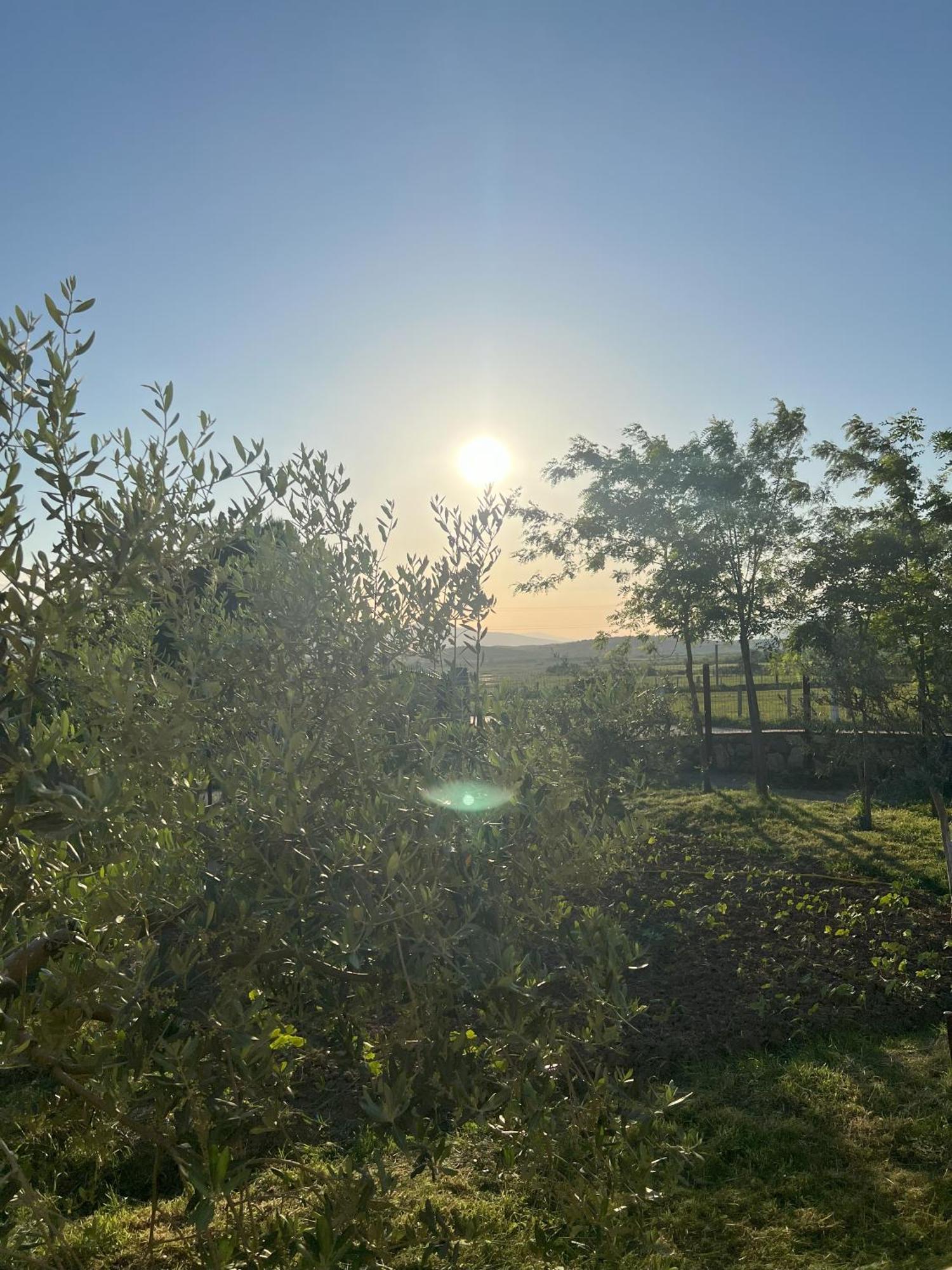 Fishte Guesthouse Koleci - Mrizi I Zanave מראה חיצוני תמונה